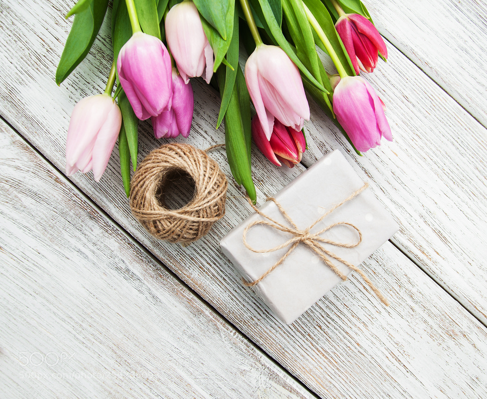 Nikon D90 sample photo. Spring tulips flowers and photography
