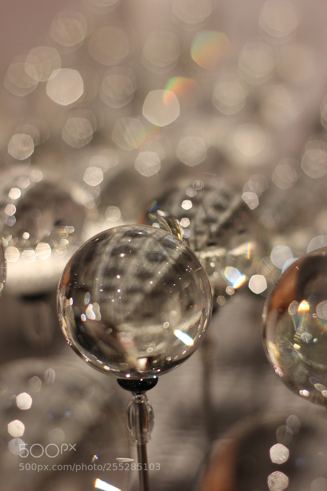 Canon EOS 600D (Rebel EOS T3i / EOS Kiss X5) sample photo. Spheric reflexion photography