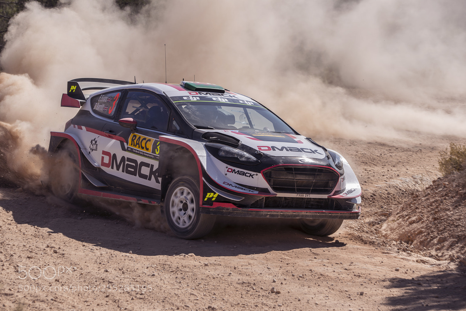 Nikon D600 sample photo. Fiesta wrc 2017 photography
