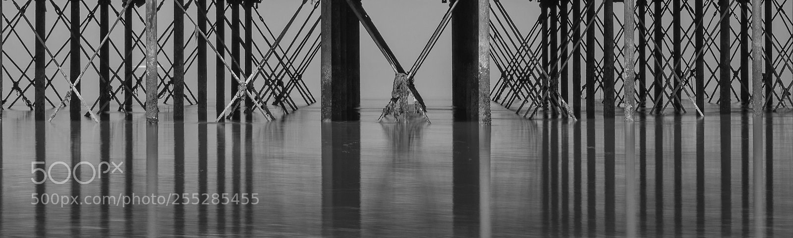 Nikon D800 sample photo. Minimalist fine art image photography