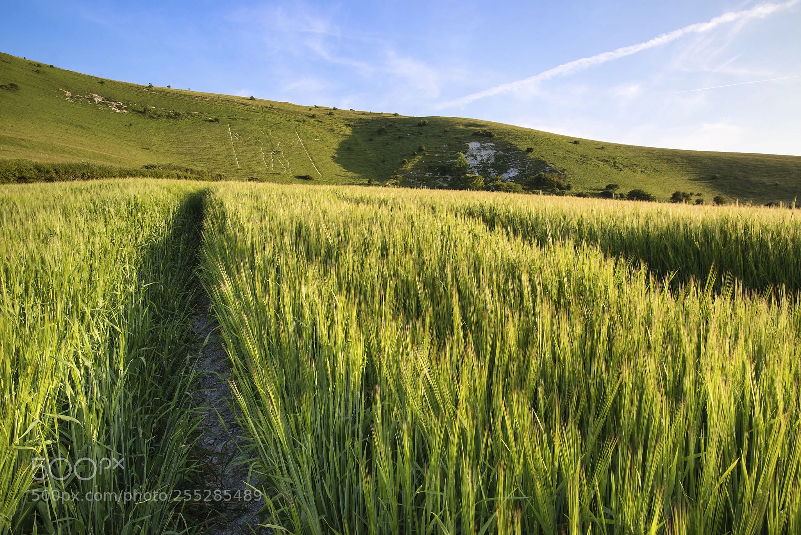 Nikon D600 sample photo. Landscape image of long photography