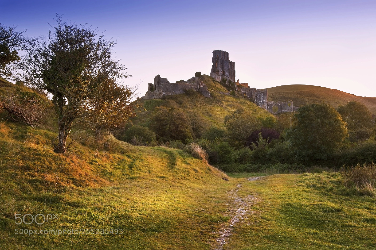 Nikon D700 sample photo. Old medieval castle ruins photography