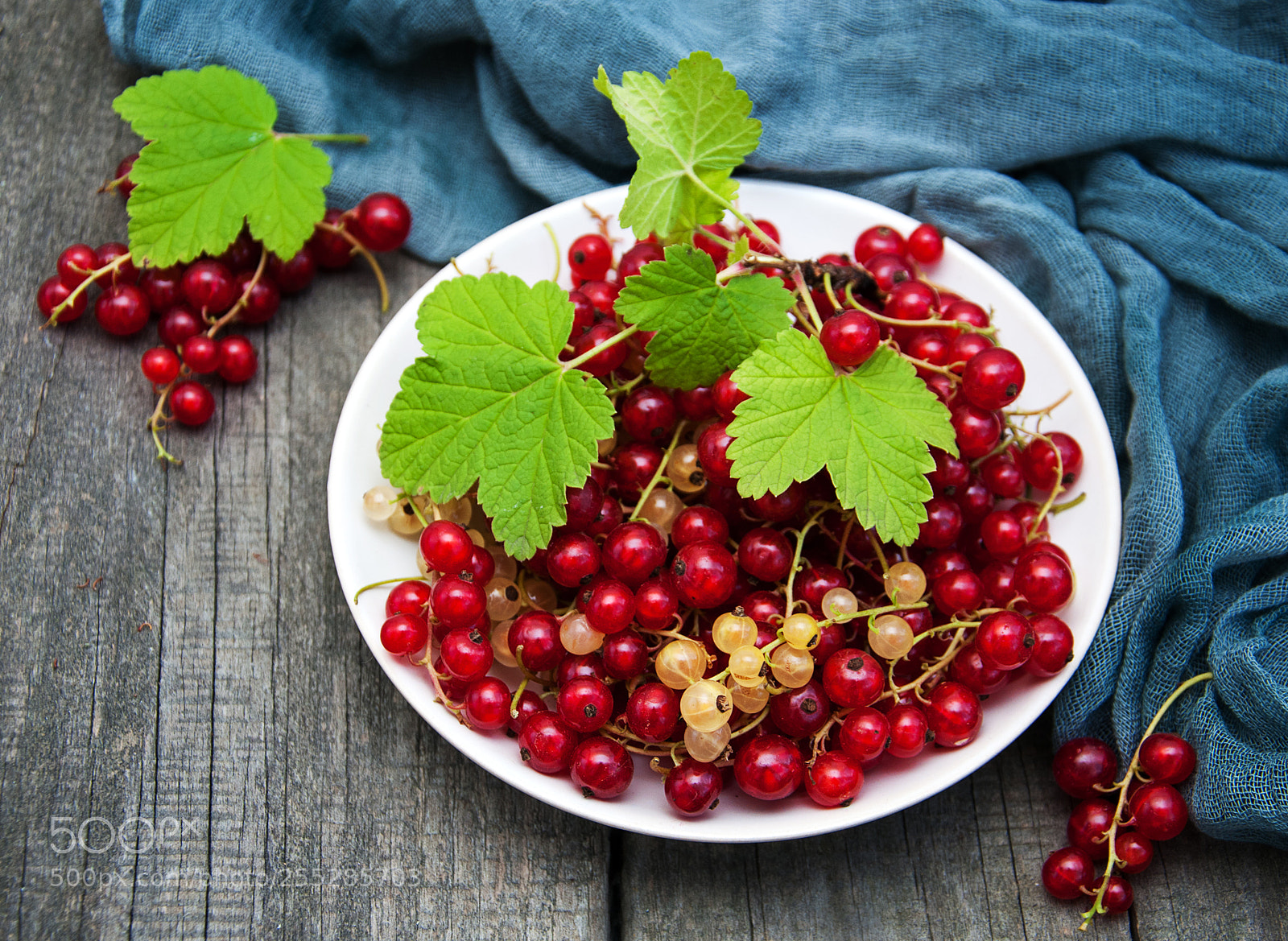 Nikon D90 sample photo. Plate with red currant photography