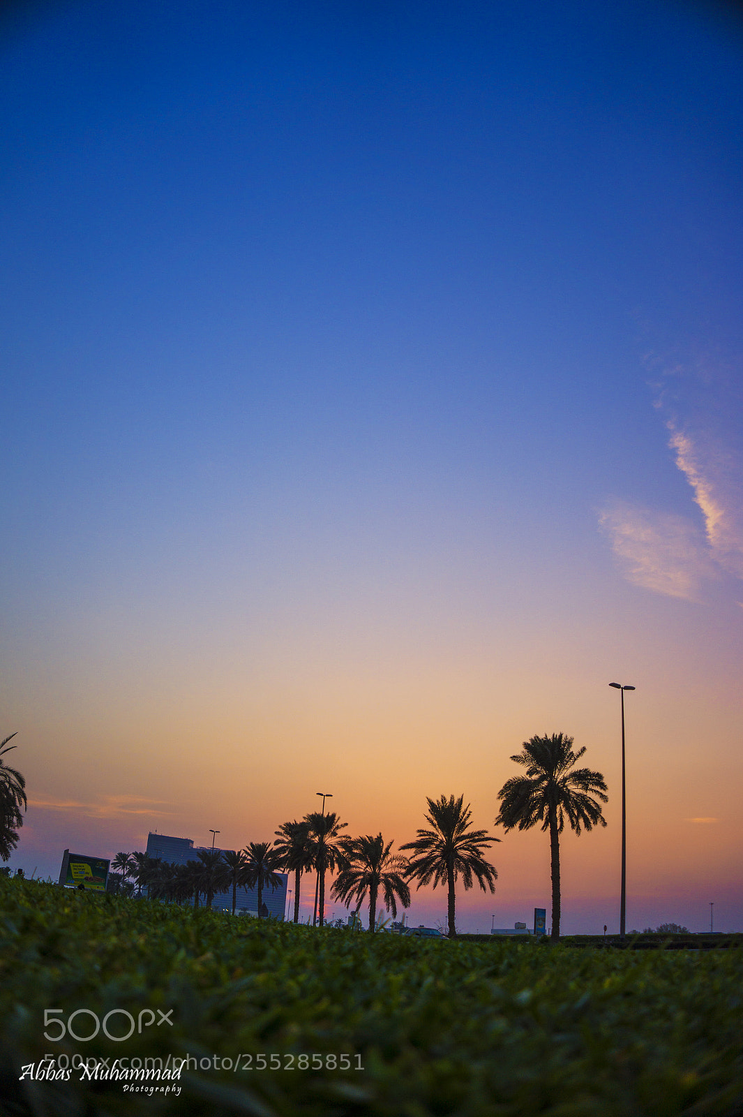 Sony Alpha a3500 sample photo. The sunset of dubai photography