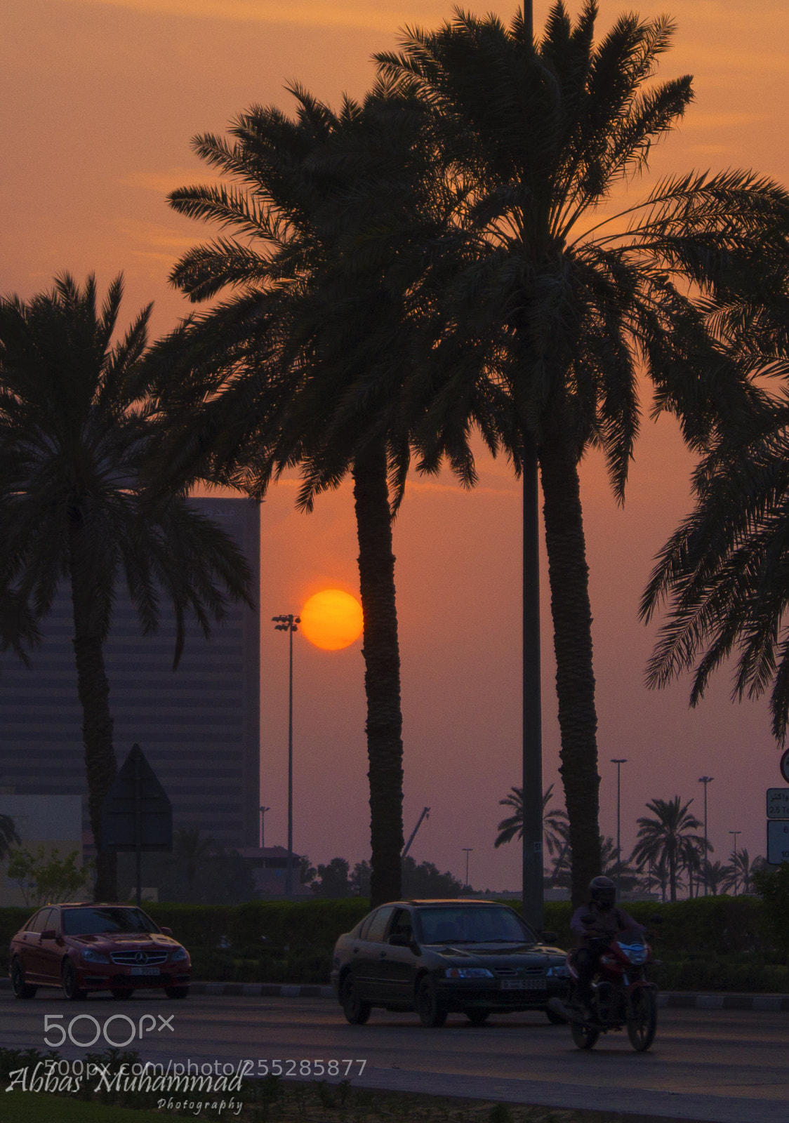 Sony Alpha a3500 sample photo. The sunset photography