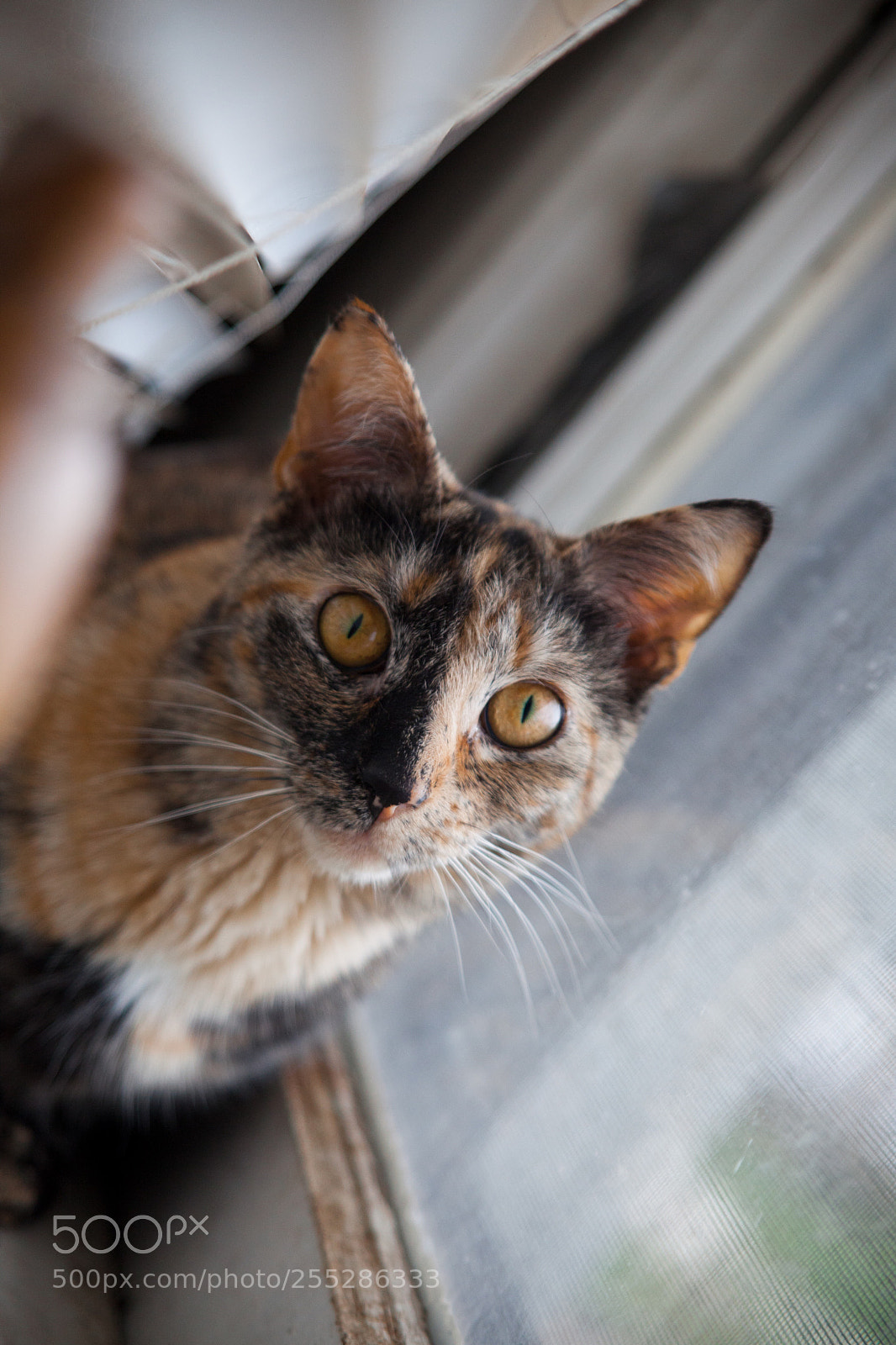 Canon EOS 5D Mark II sample photo. Untitled photography