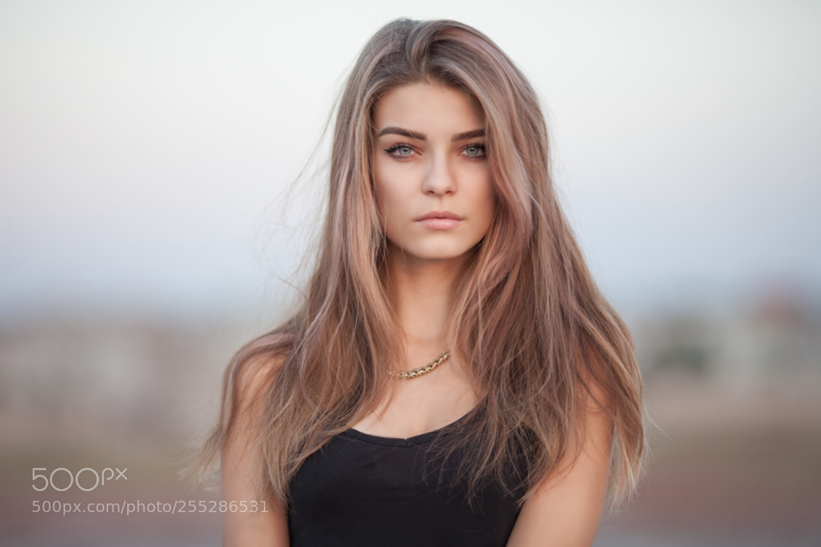 Canon EOS 5D Mark II sample photo. 74.jpg photography