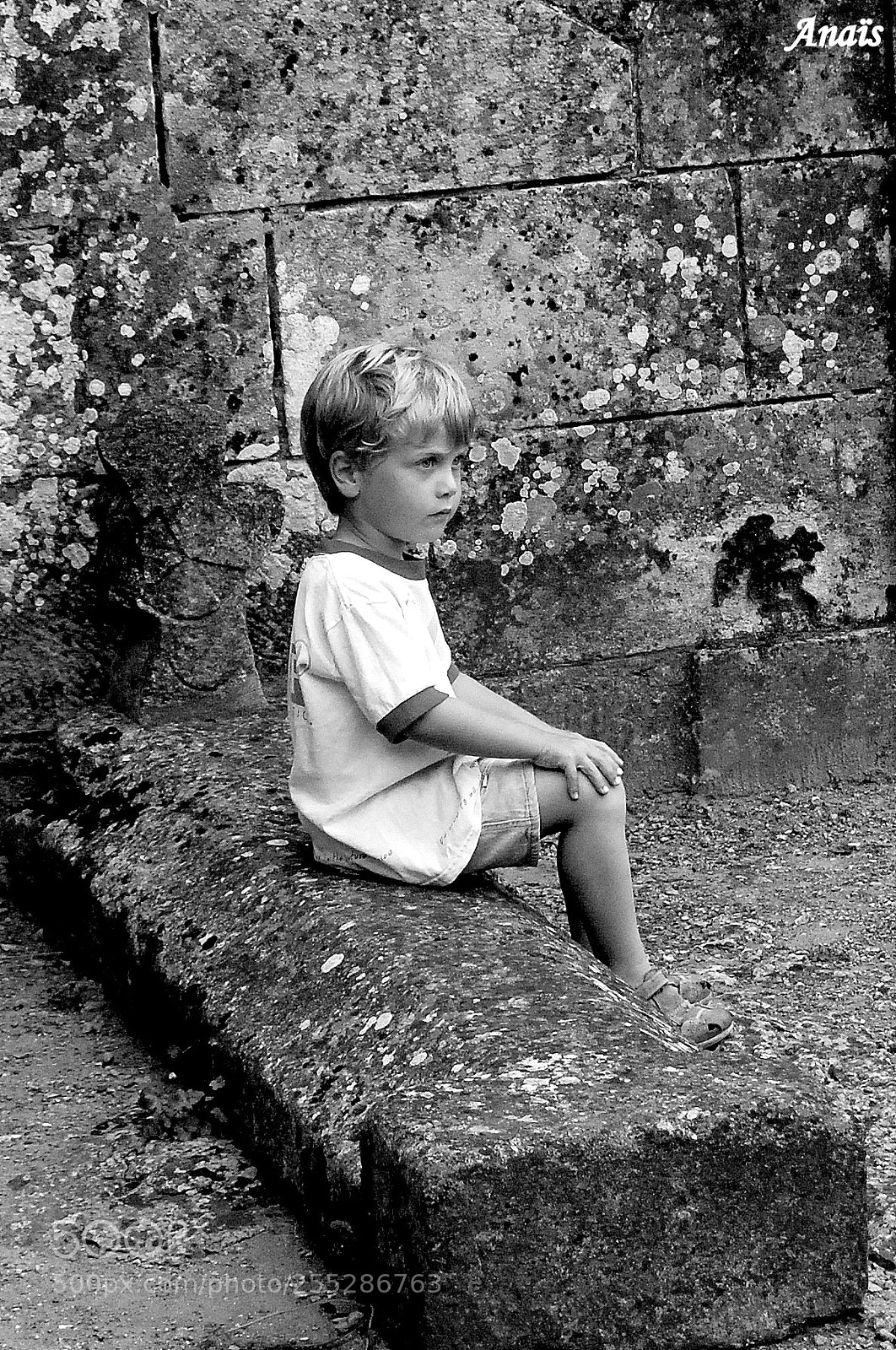 Nikon D40 sample photo. Assis sur la tombe photography