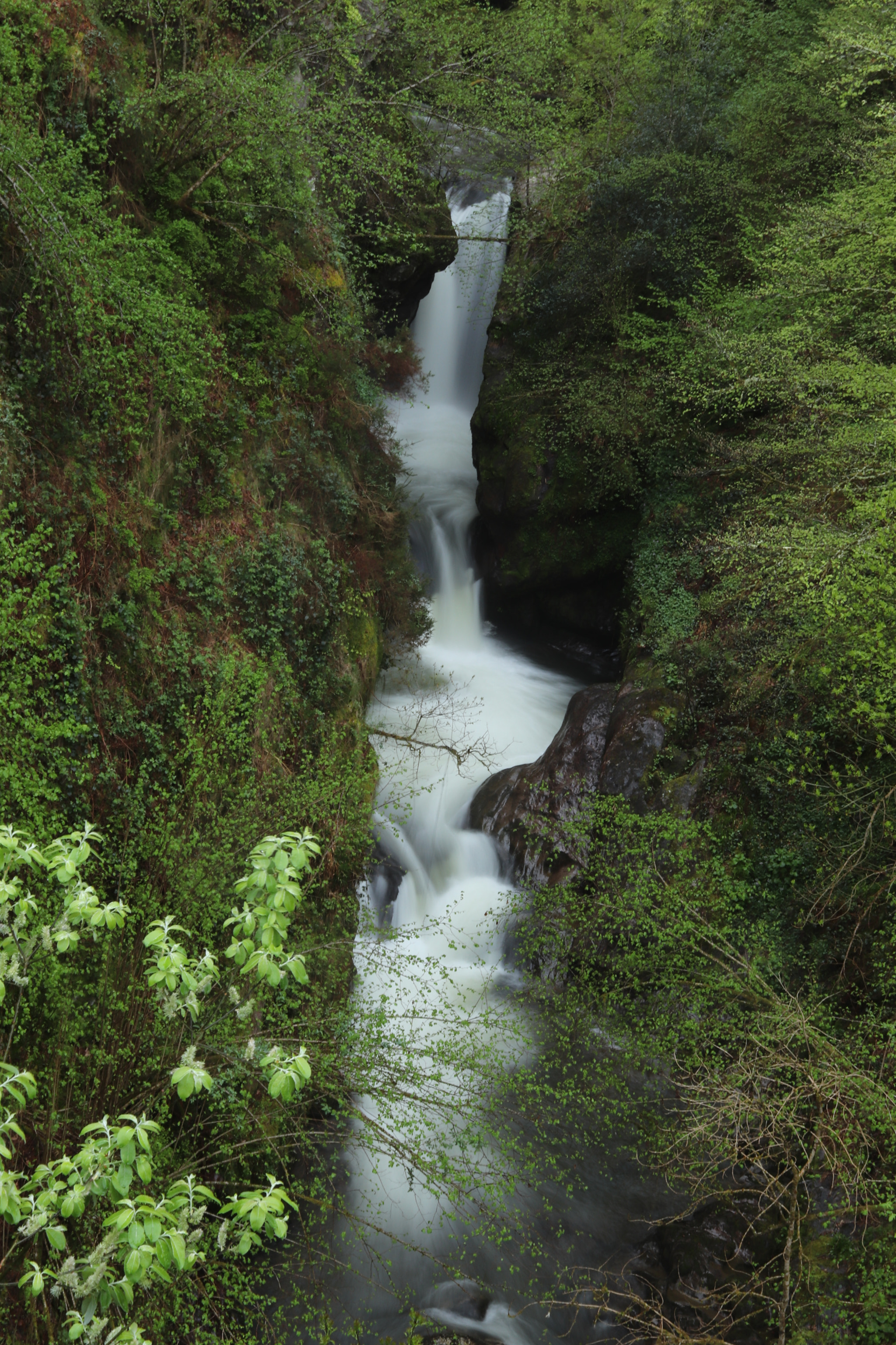 Canon EF-S 18-55mm F3.5-5.6 IS sample photo. Pozo del amo (rio saja) photography