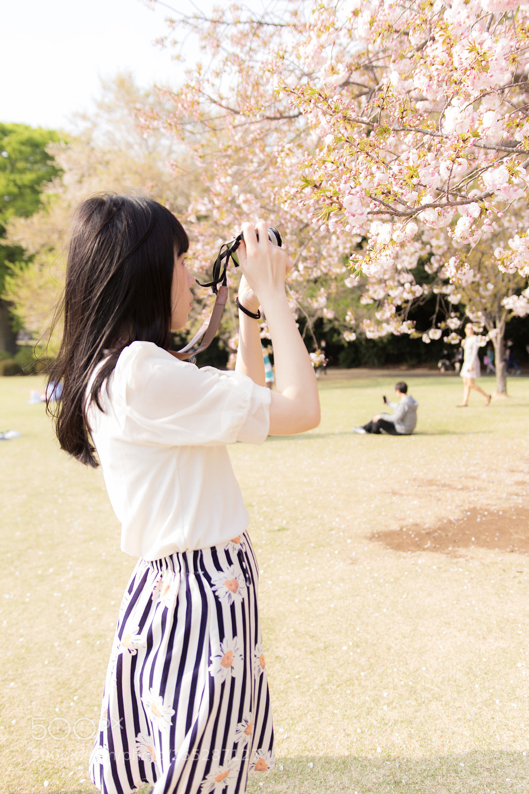 Canon EOS 700D (EOS Rebel T5i / EOS Kiss X7i) sample photo. Untitled photography