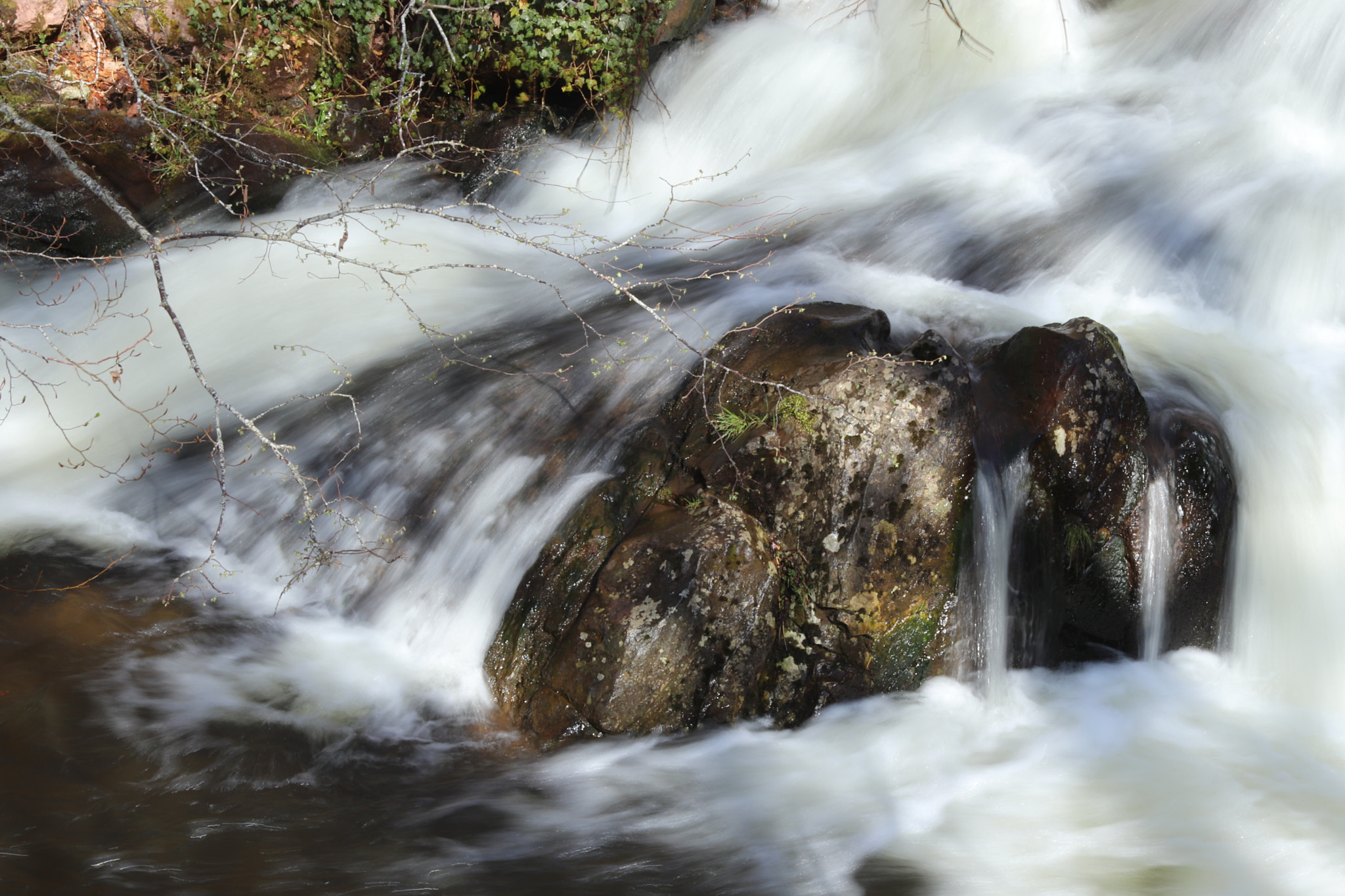 Canon EF-S 18-55mm F3.5-5.6 IS sample photo. Branosera photography