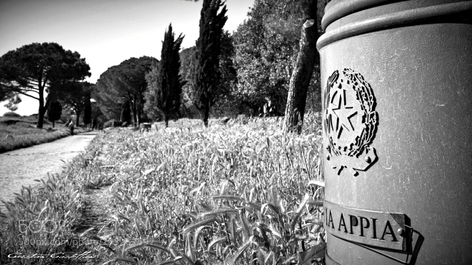 Nikon D3300 sample photo. Appia antica photography