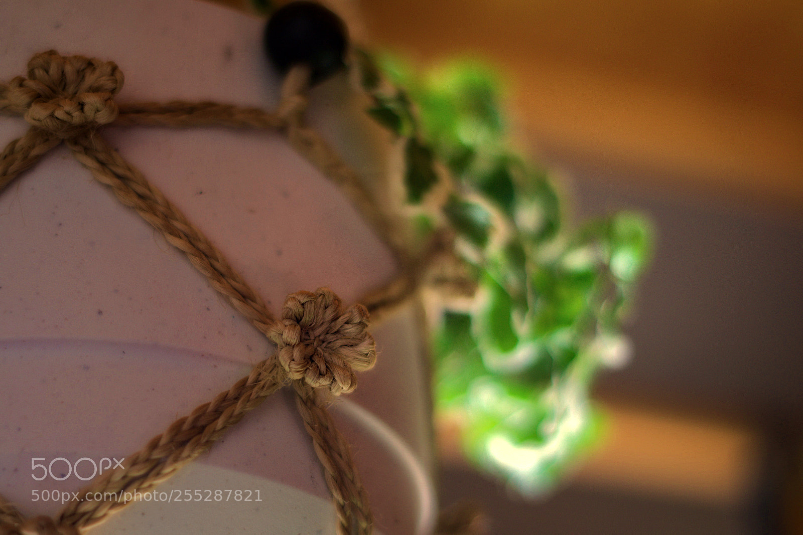 Pentax K-3 sample photo. Hanging photography