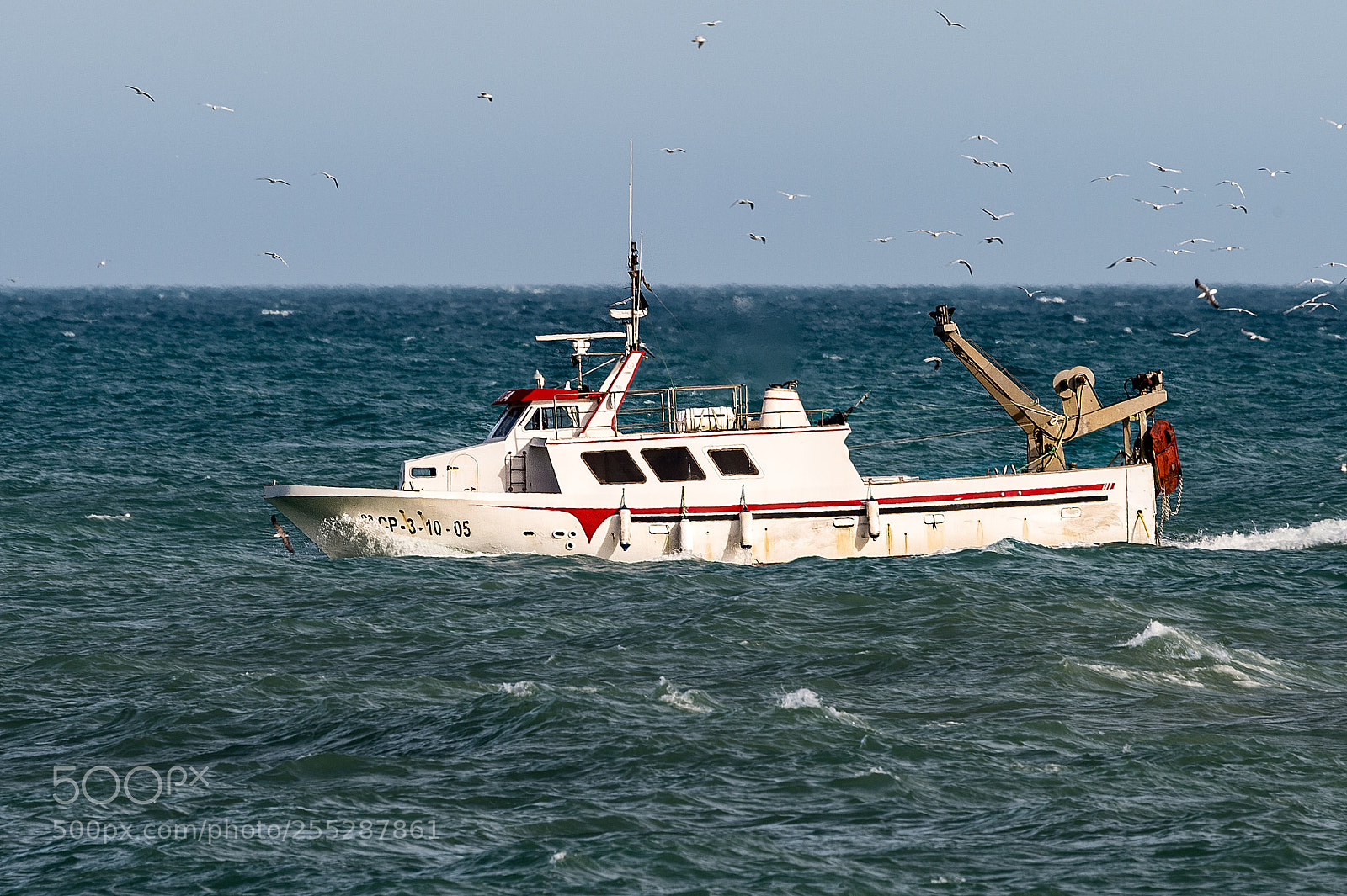 Nikon Df sample photo. The effort of others photography