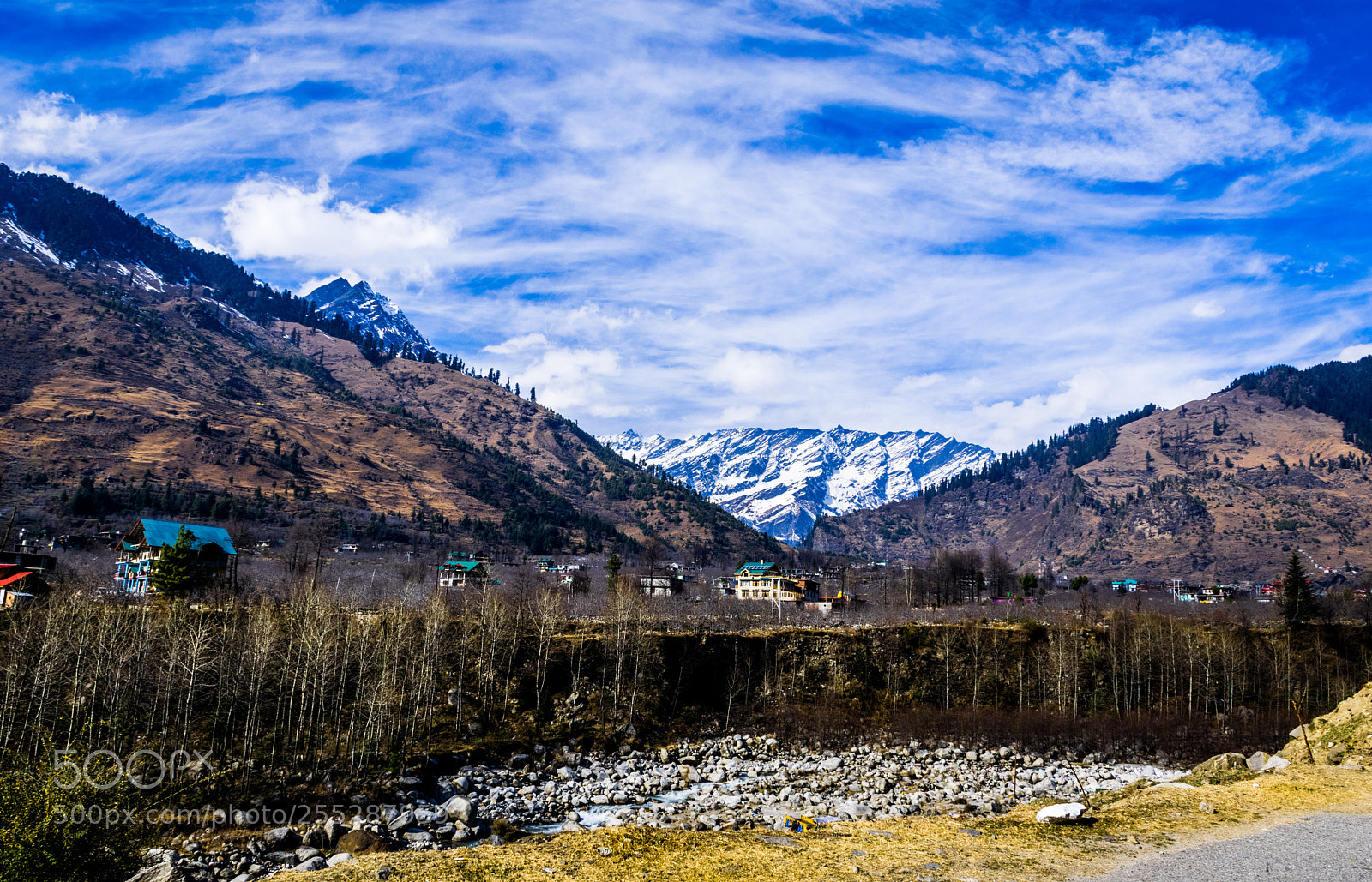 Nikon D5300 sample photo. Untitled photography