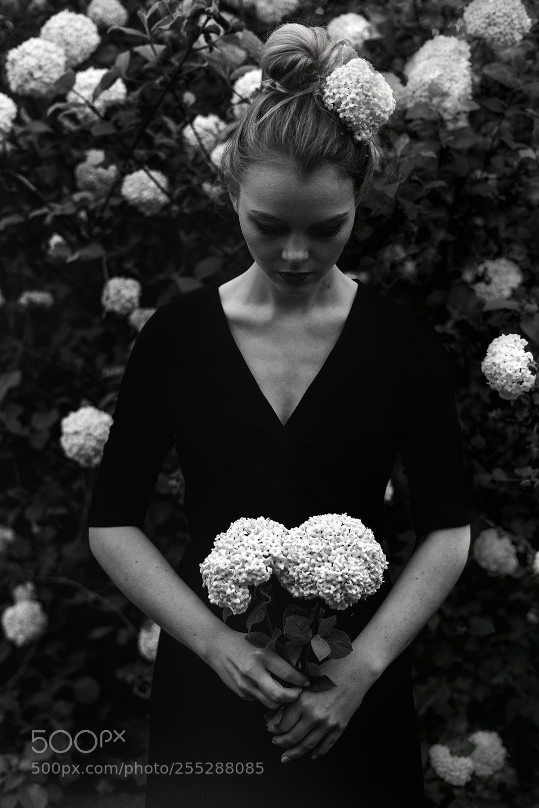 Sony a7R sample photo. Flowers photography