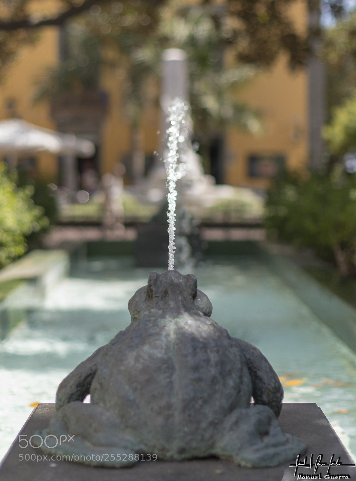 Canon EOS 5D Mark IV sample photo. Cro. cro. photography