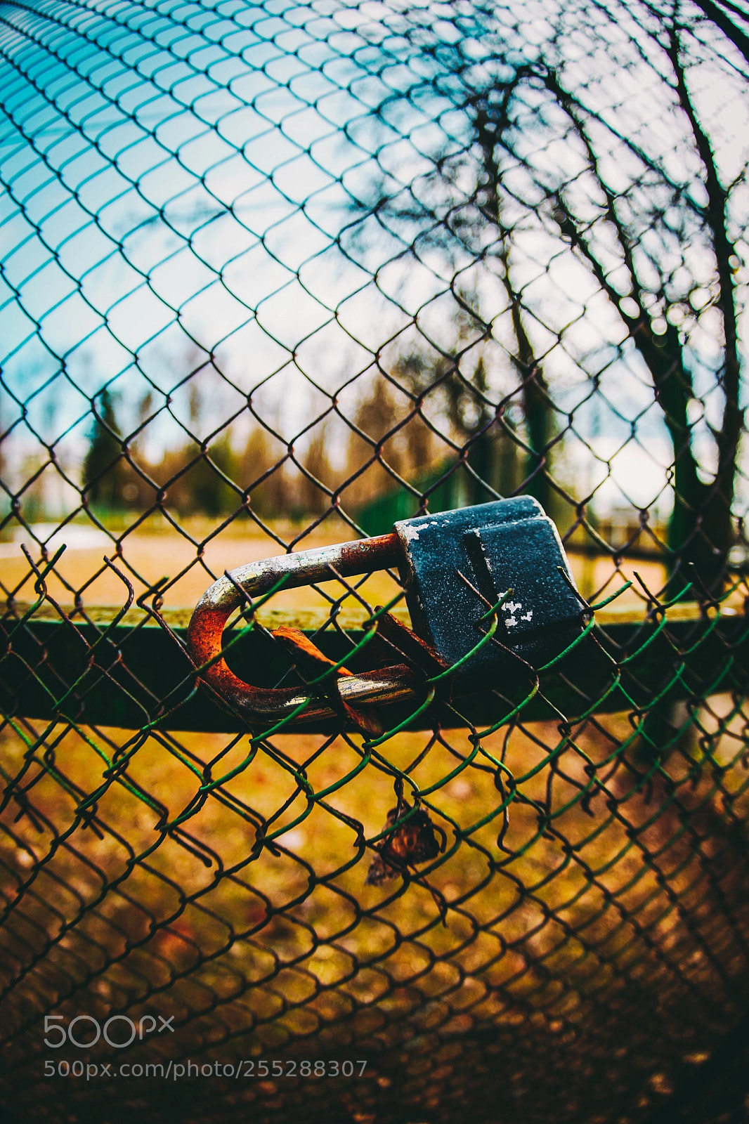 Sony a7 II sample photo. Bright photography