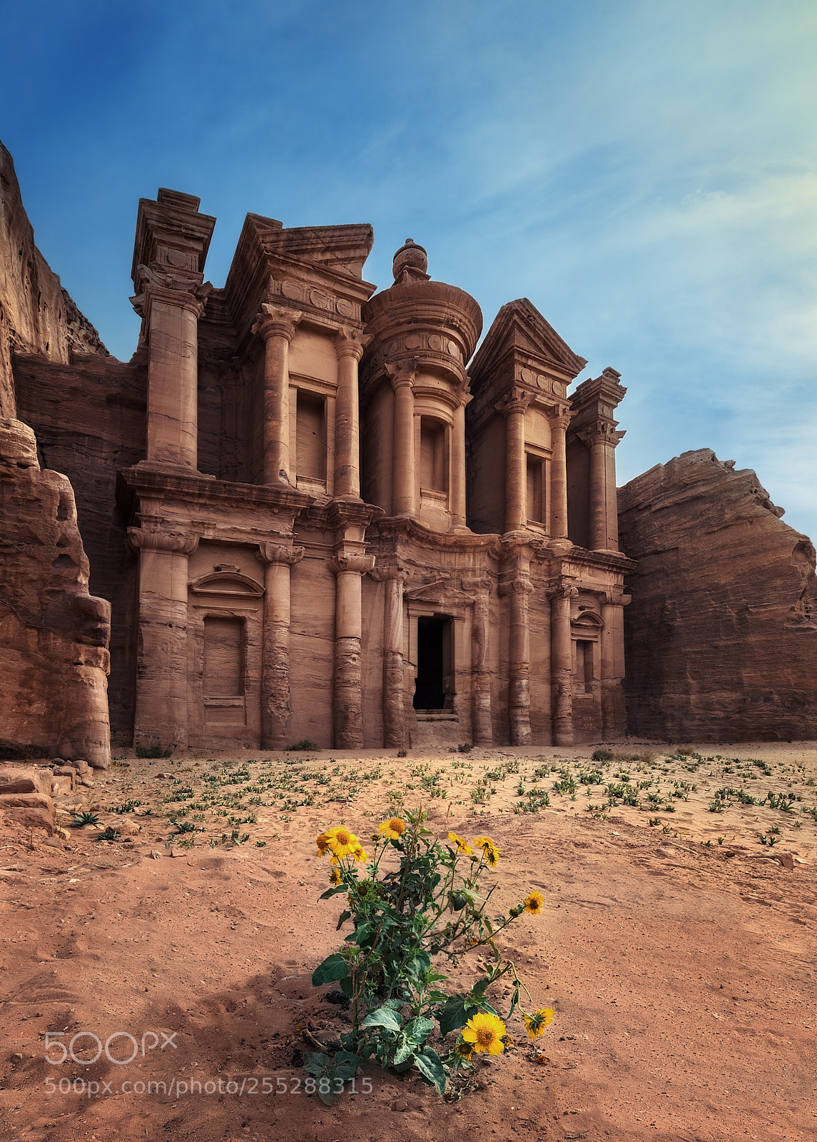 Nikon D610 sample photo. Dayr - petra photography