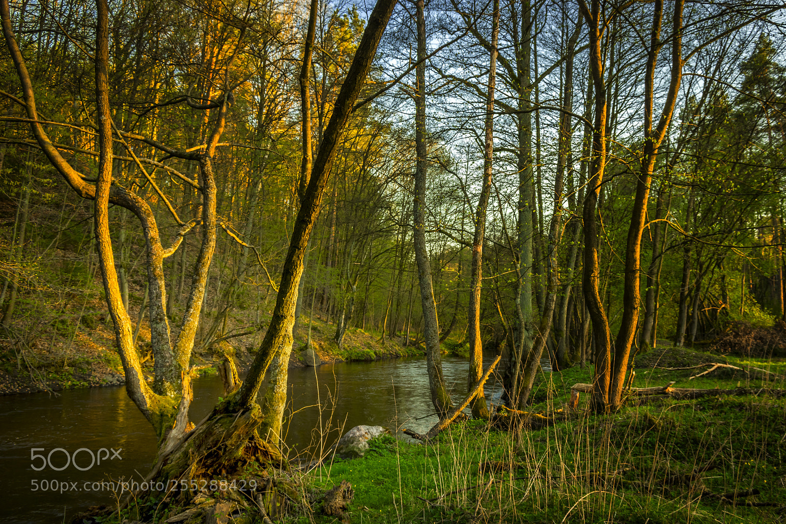 Pentax K-3 II sample photo. River photography