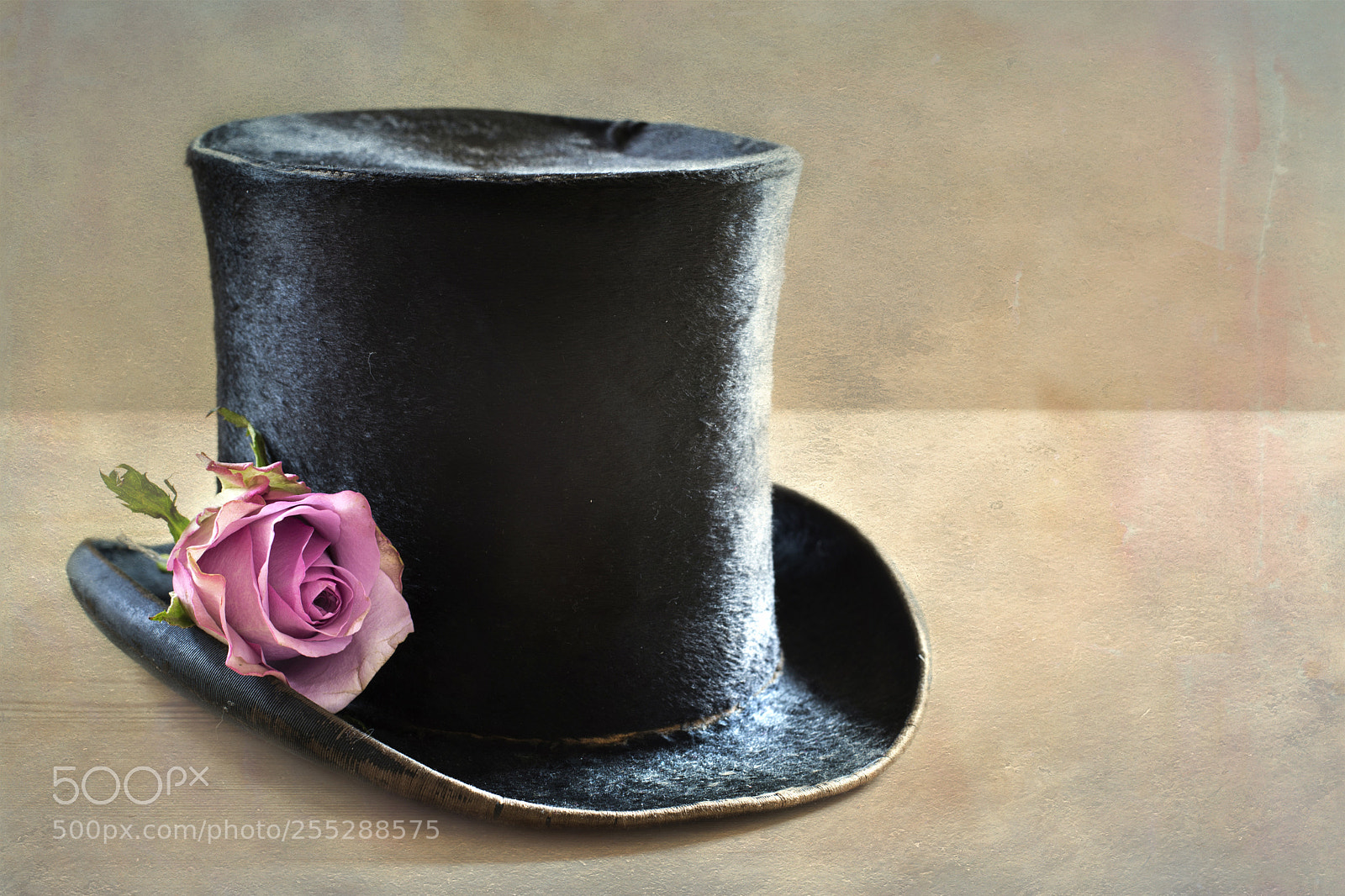 Nikon D600 sample photo. Top hat and a photography