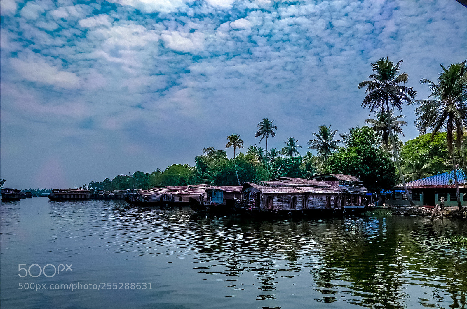 OnePlus 5 sample photo. Trippy backwaters photography