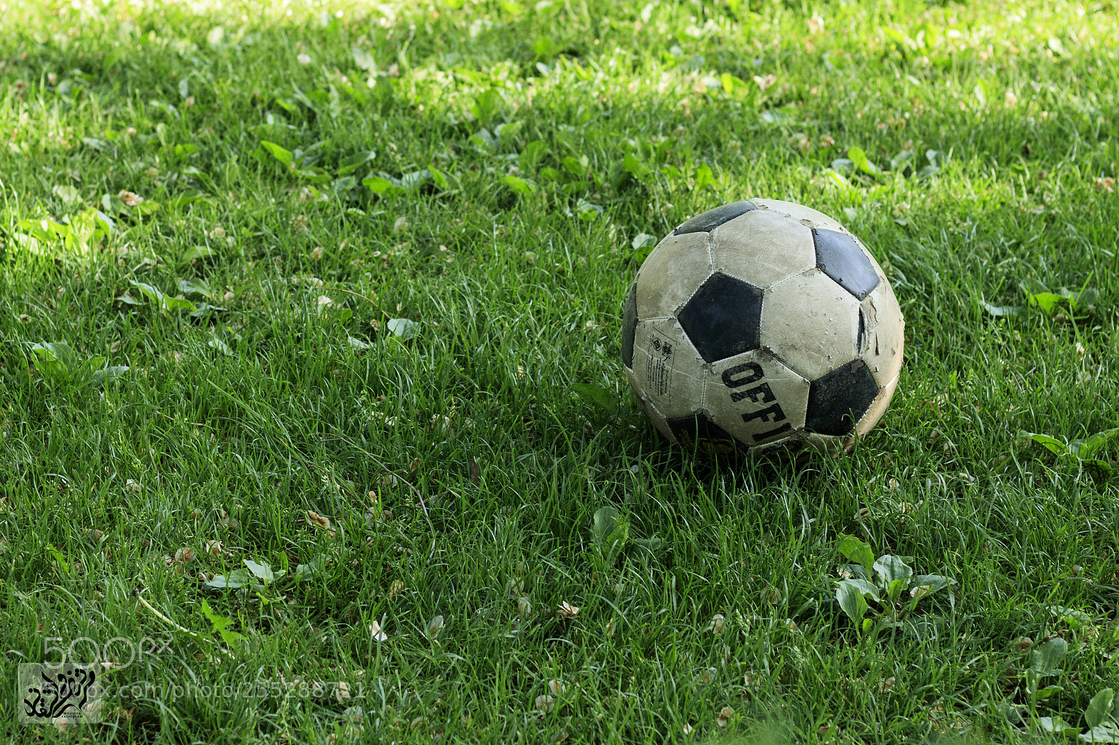 Canon EOS 80D sample photo. Dirty ball photography