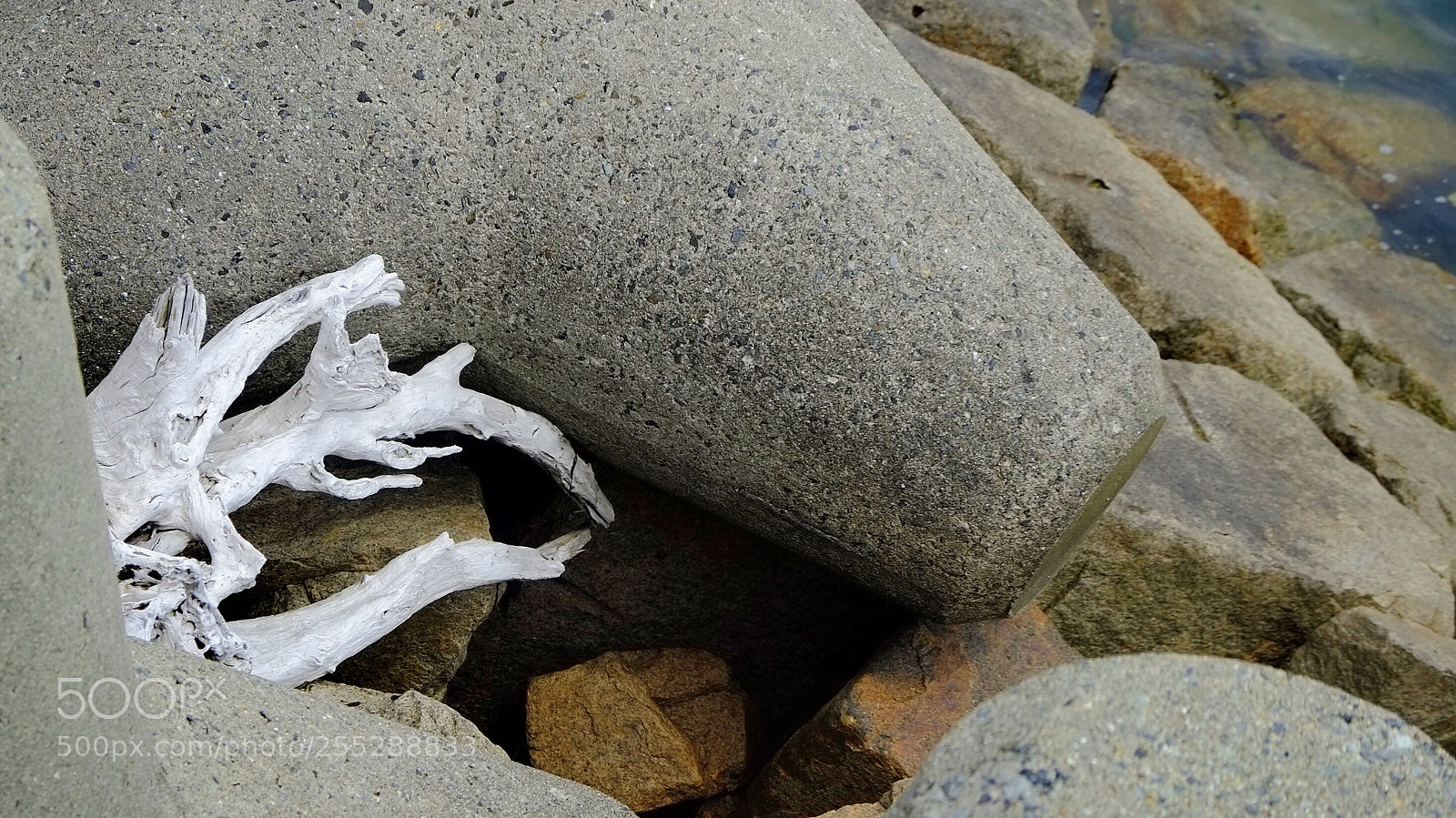 Fujifilm X-Pro1 sample photo. Adrift photography