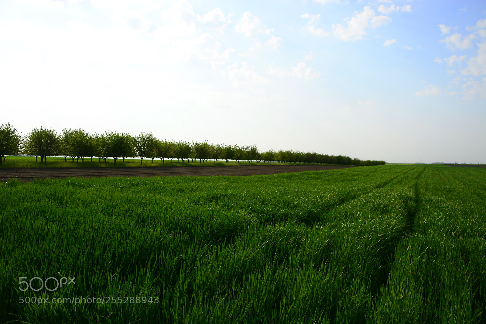 Nikon D7100 sample photo. Field landscape photography