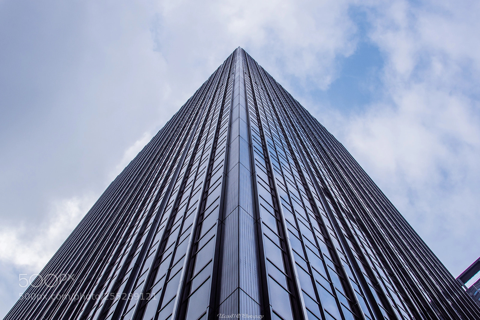Sony SLT-A68 sample photo. Look up - new photography