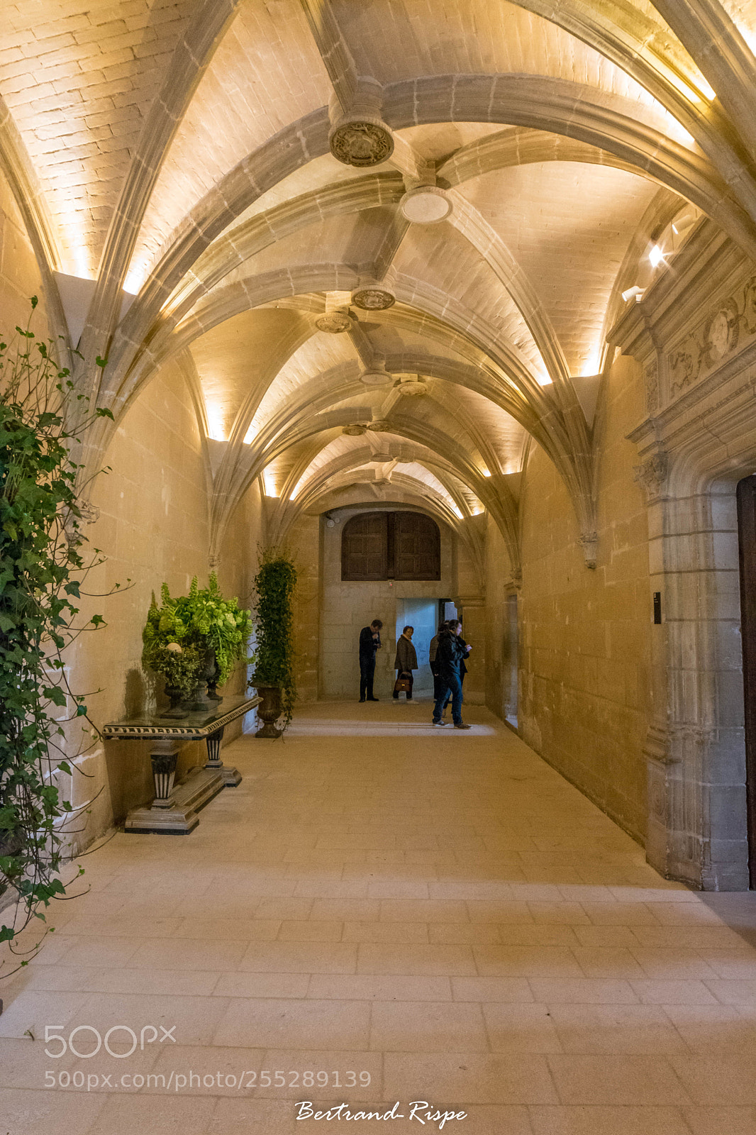Nikon D7200 sample photo. Plafond en vo tes photography