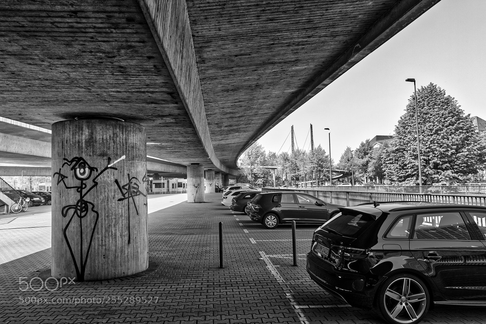Nikon D4S sample photo. Under the rhine bridge photography
