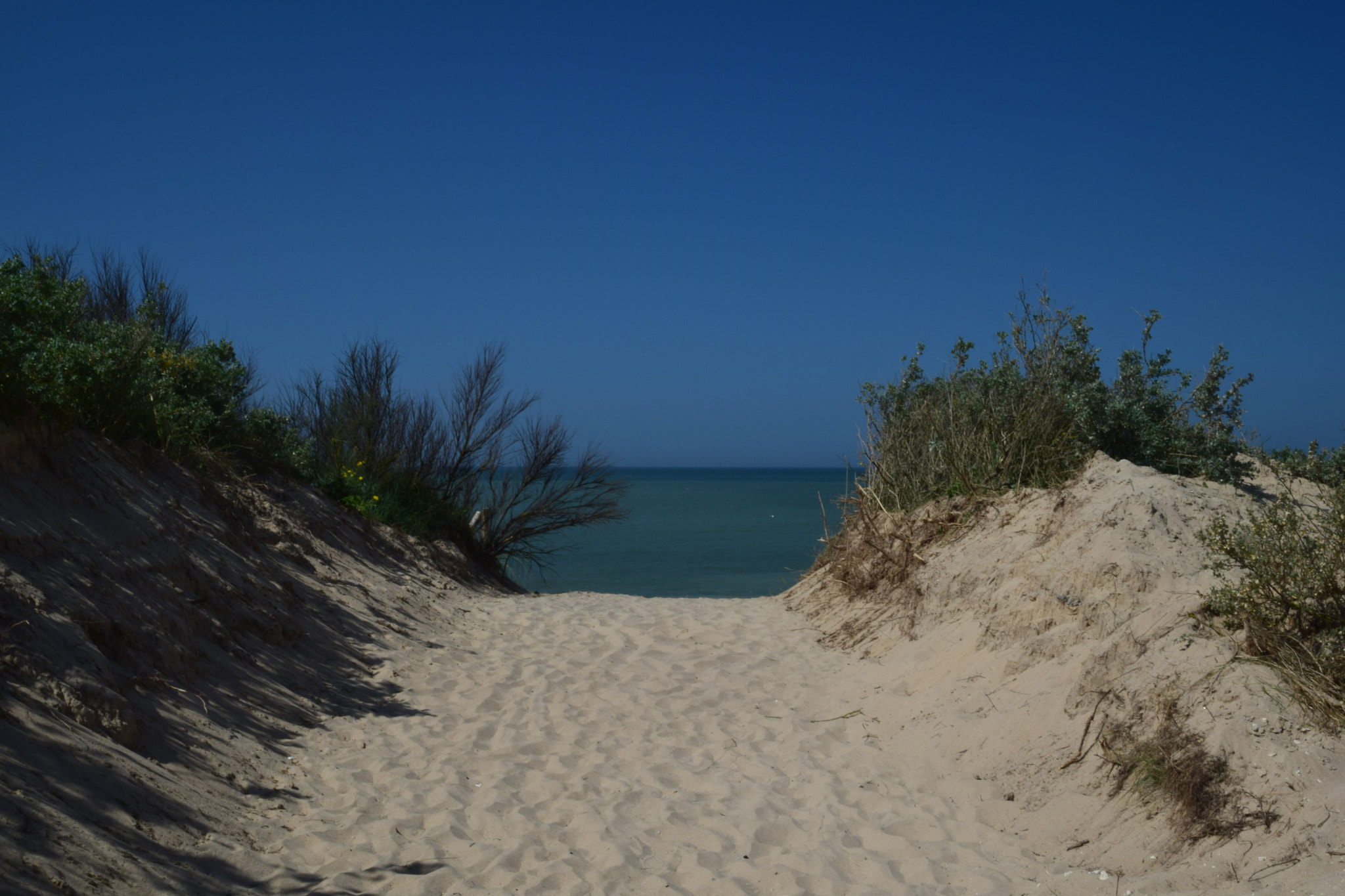 Nikon D5300 sample photo. Bord de mer photography
