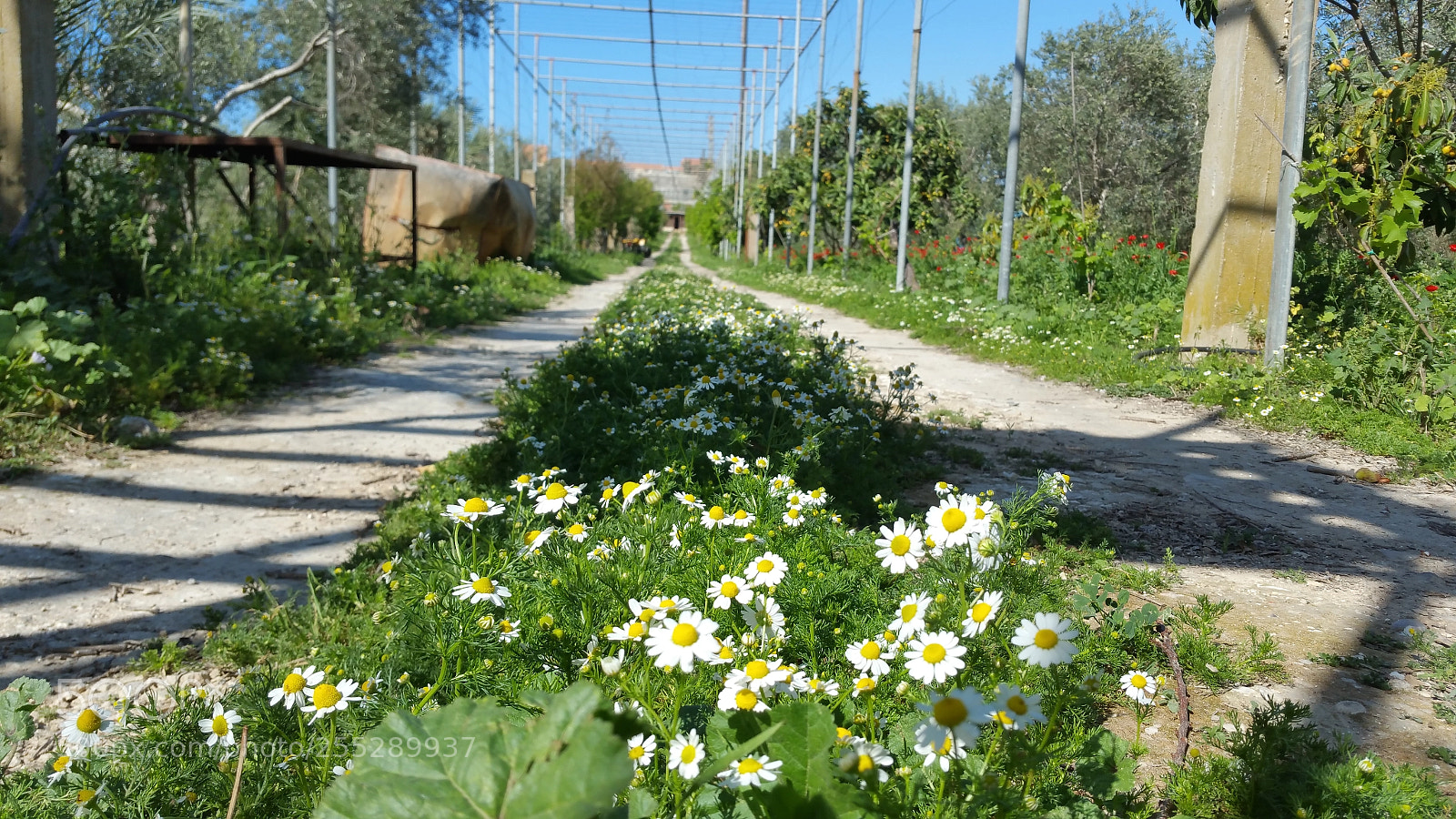 Samsung Galaxy Note4 sample photo. Untitled photography