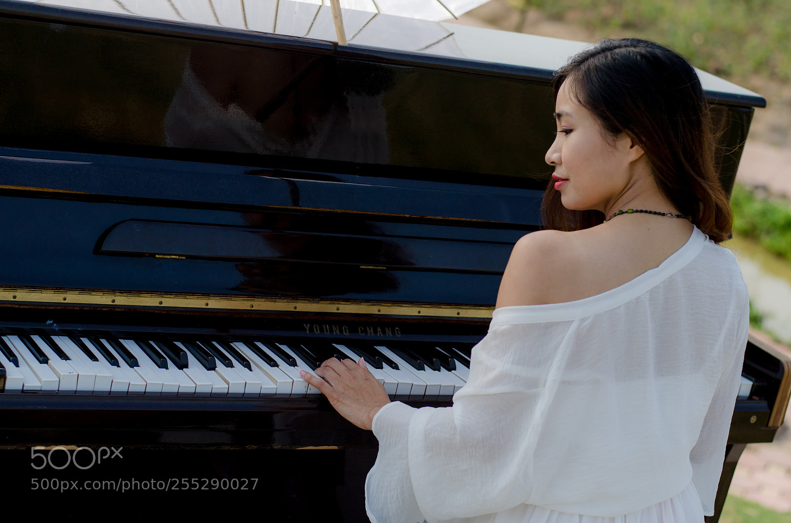 Nikon D7000 sample photo. Ve () photography