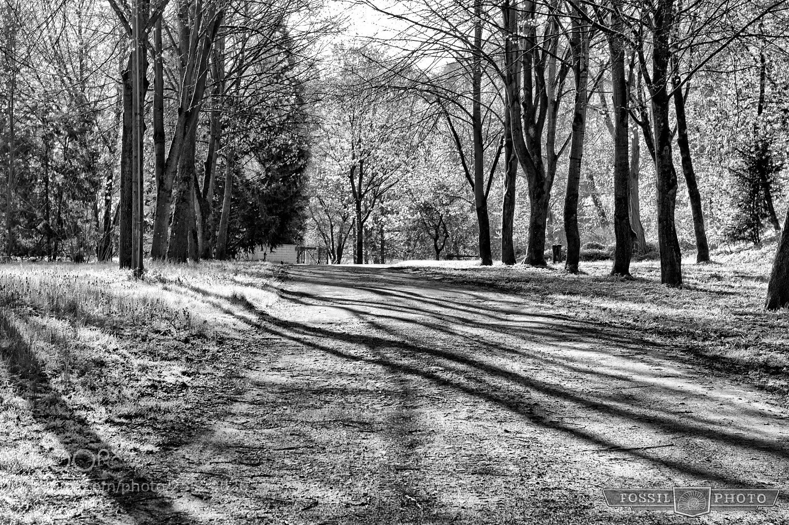 Canon EOS 80D sample photo. Lines and shades... photography