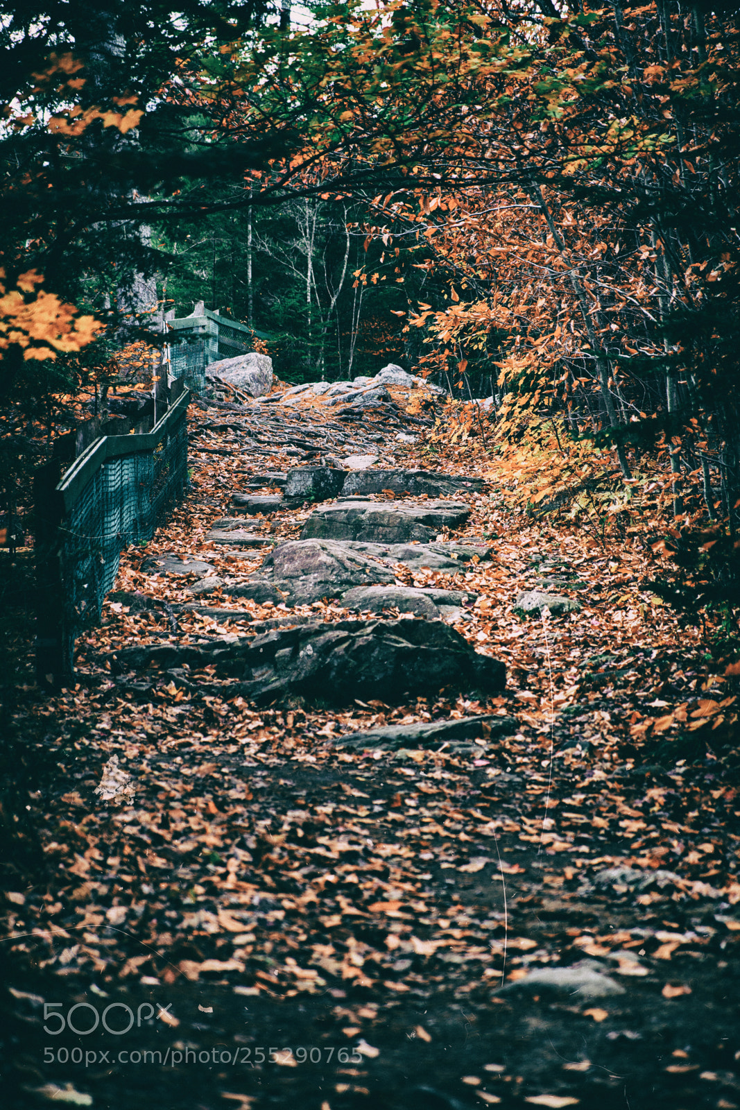 Canon EOS 5D Mark II sample photo. Nice walk up photography