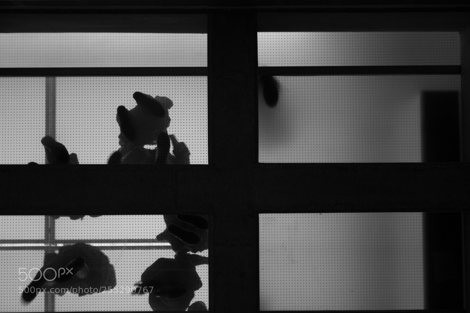 Canon EOS 750D (EOS Rebel T6i / EOS Kiss X8i) sample photo. Img photography