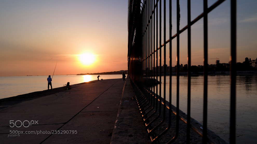 Samsung NX30 sample photo. ... photography