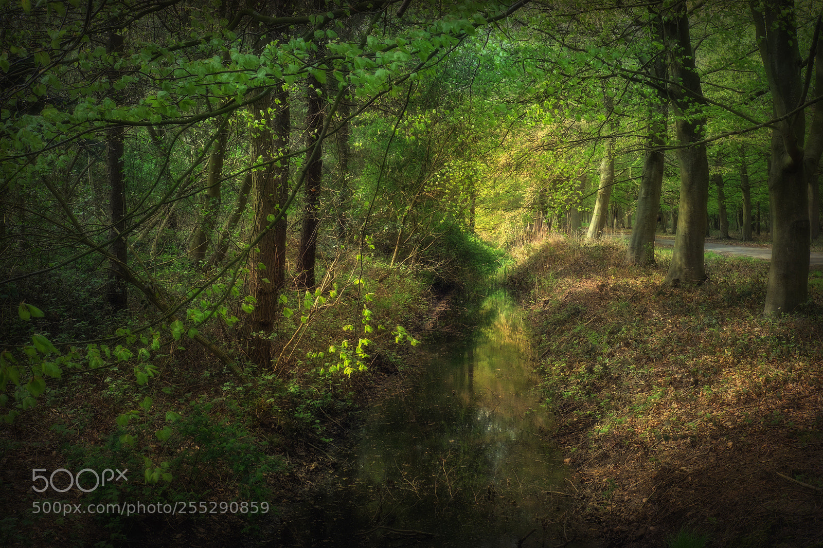 Fujifilm X-T1 sample photo. The ditch photography