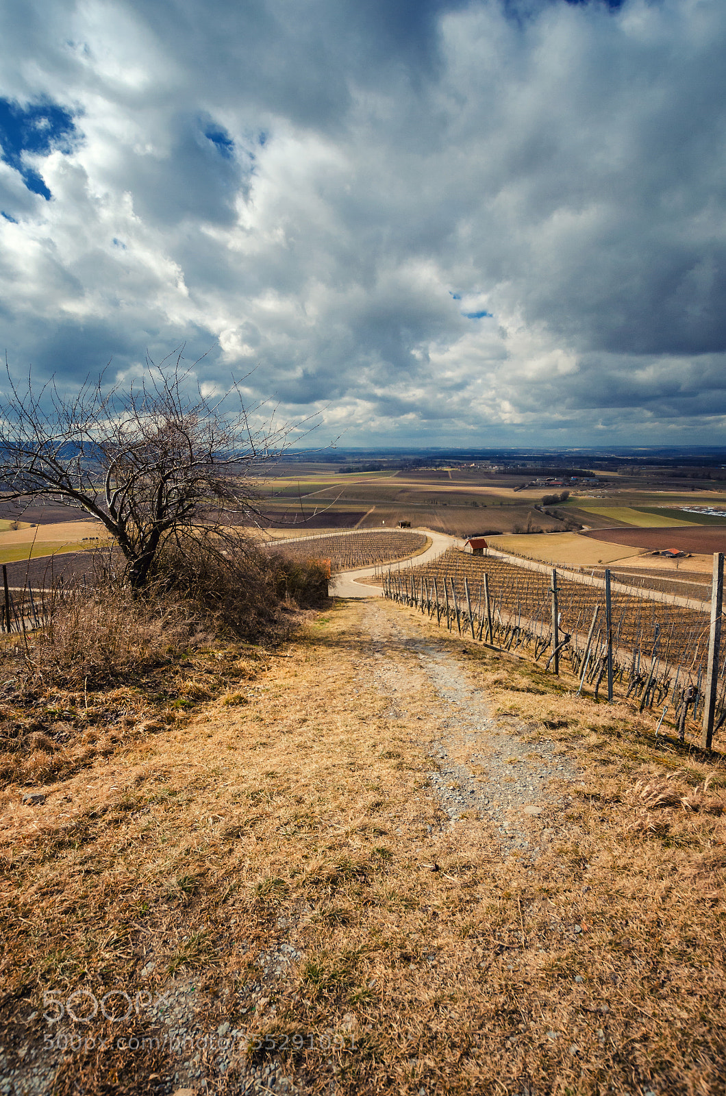 Nikon D5100 sample photo. Rural landscape view from photography