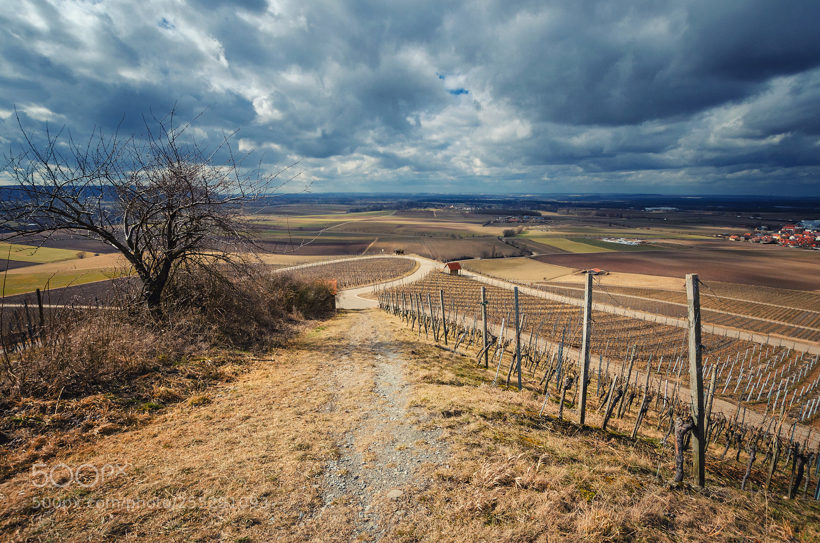 Nikon D5100 sample photo. Rural landscape view from photography