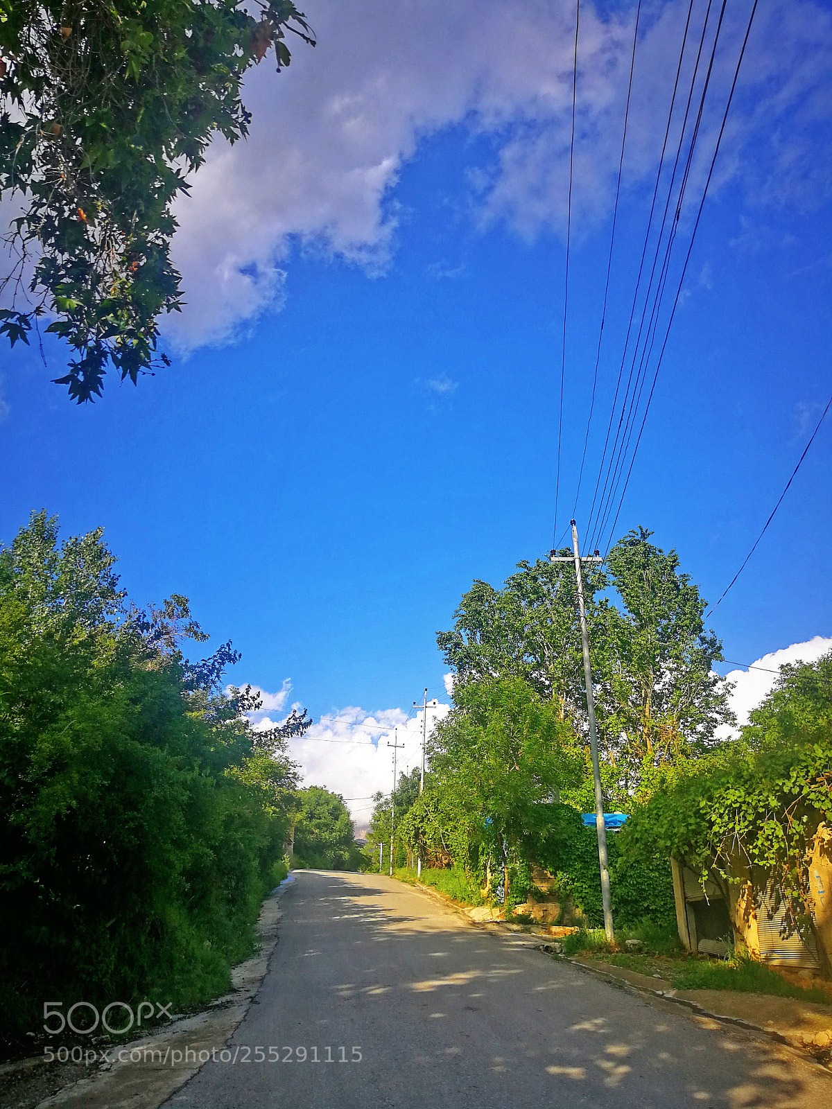 HUAWEI P10 Plus sample photo. Untitled photography
