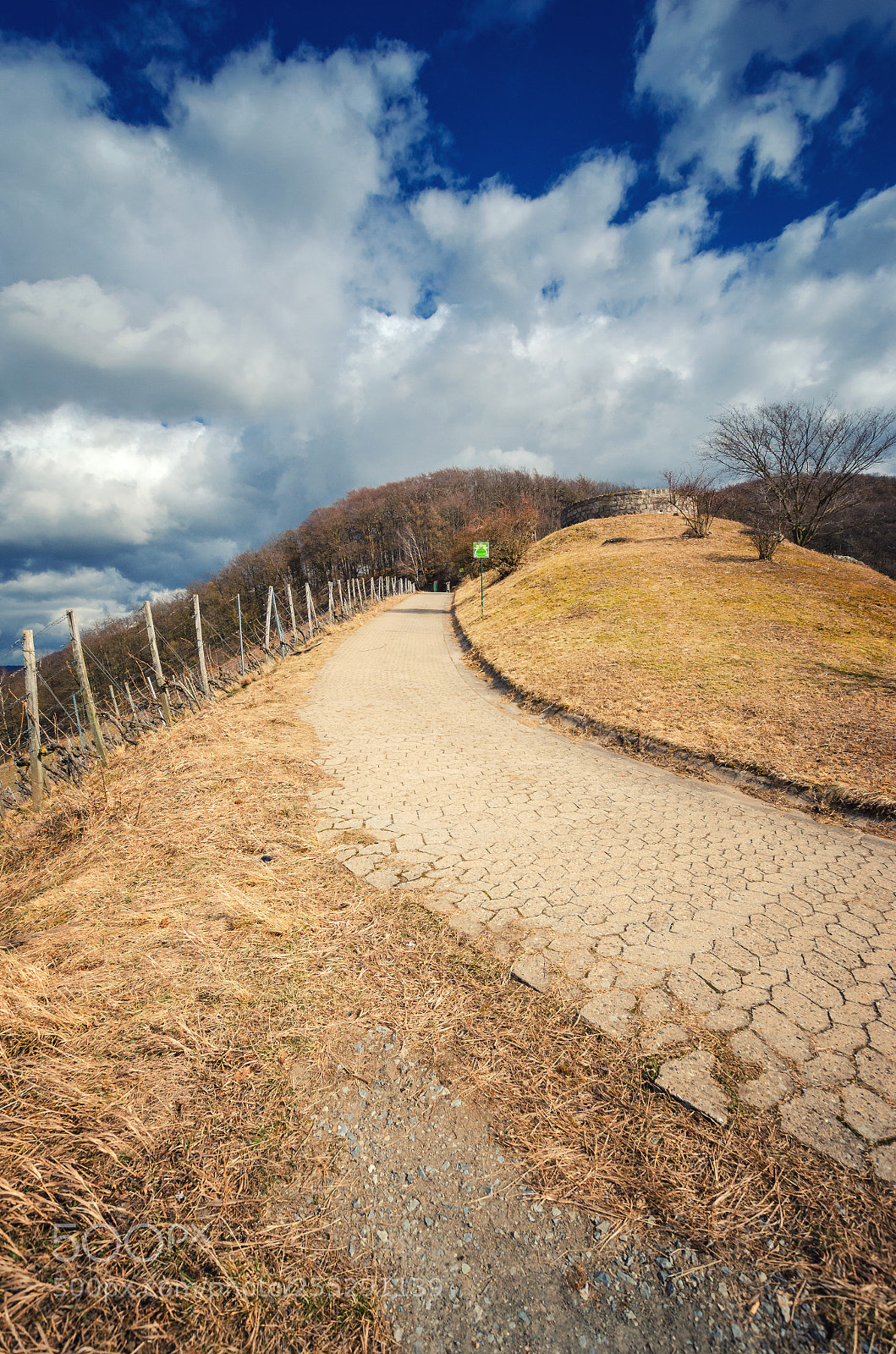 Nikon D5100 sample photo. Rural landscape view from photography