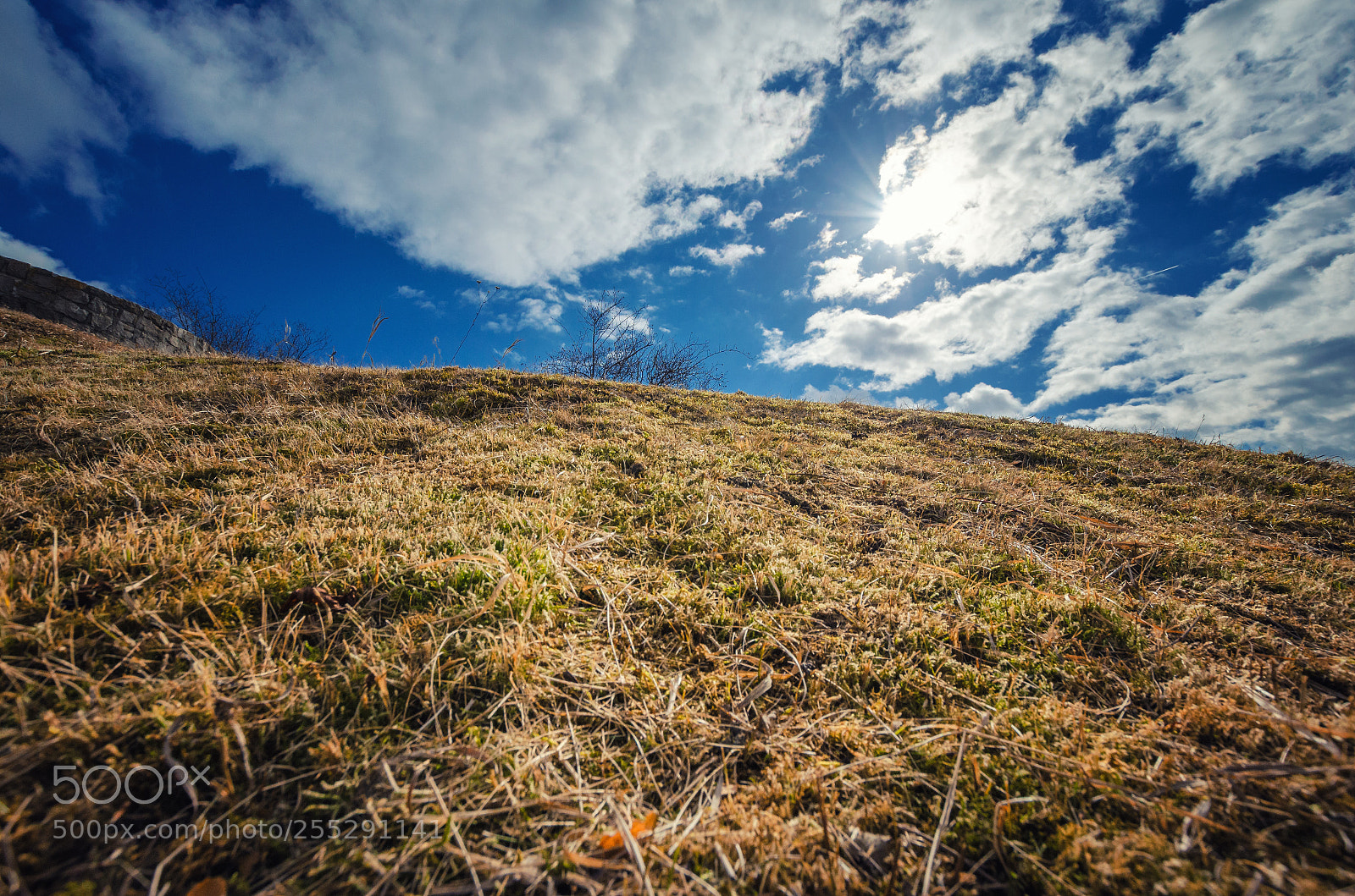 Nikon D5100 sample photo. View up to the photography
