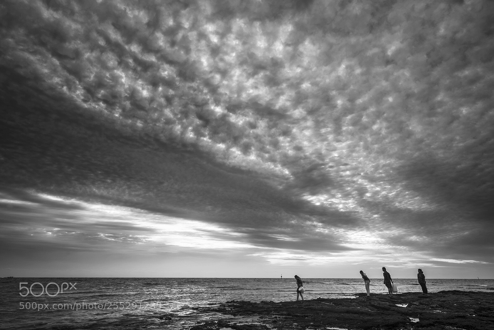 Nikon D810 sample photo. Four on beach  photography