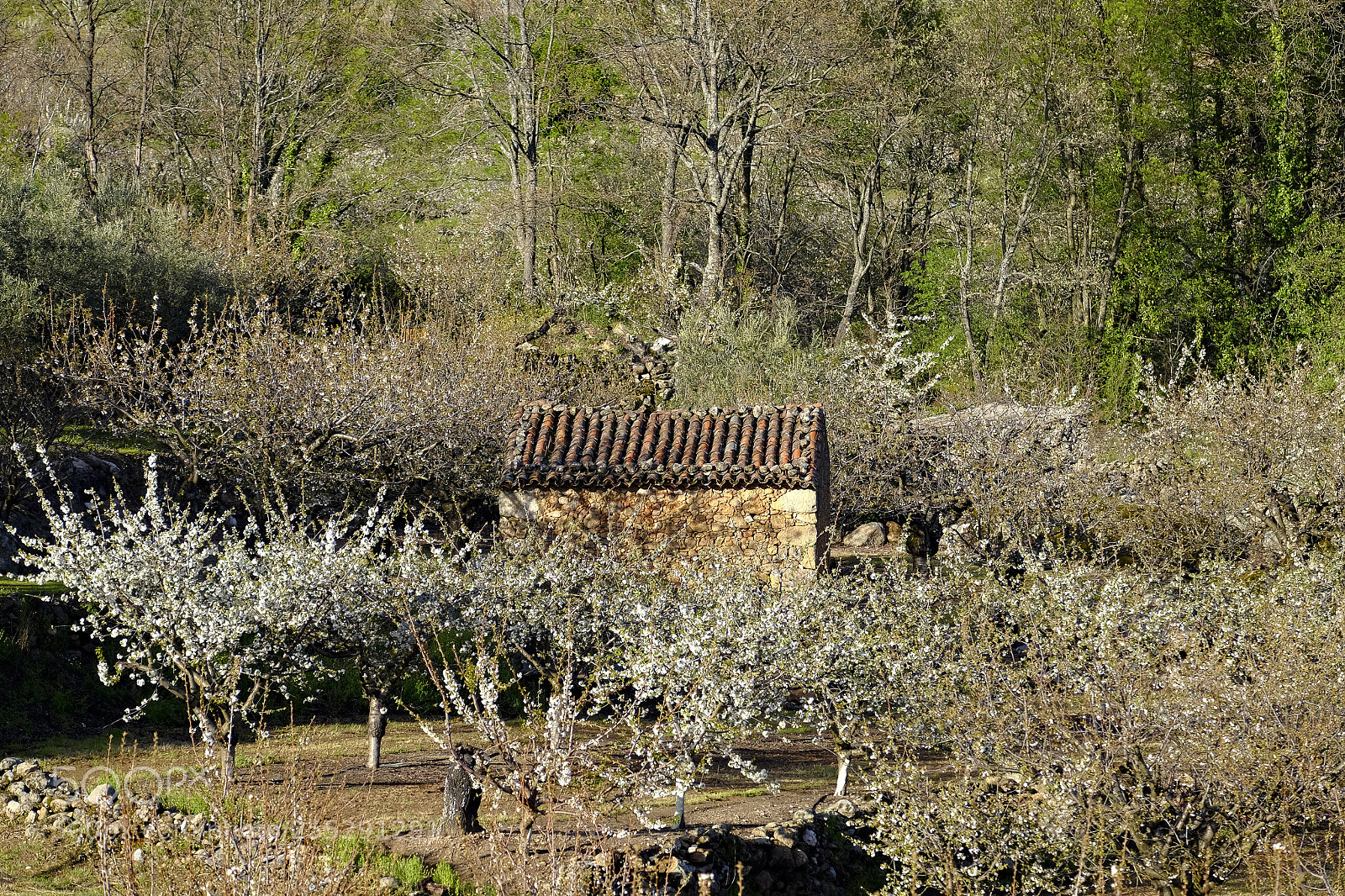 Fujifilm X-T10 sample photo. Rural countryside landscape in photography