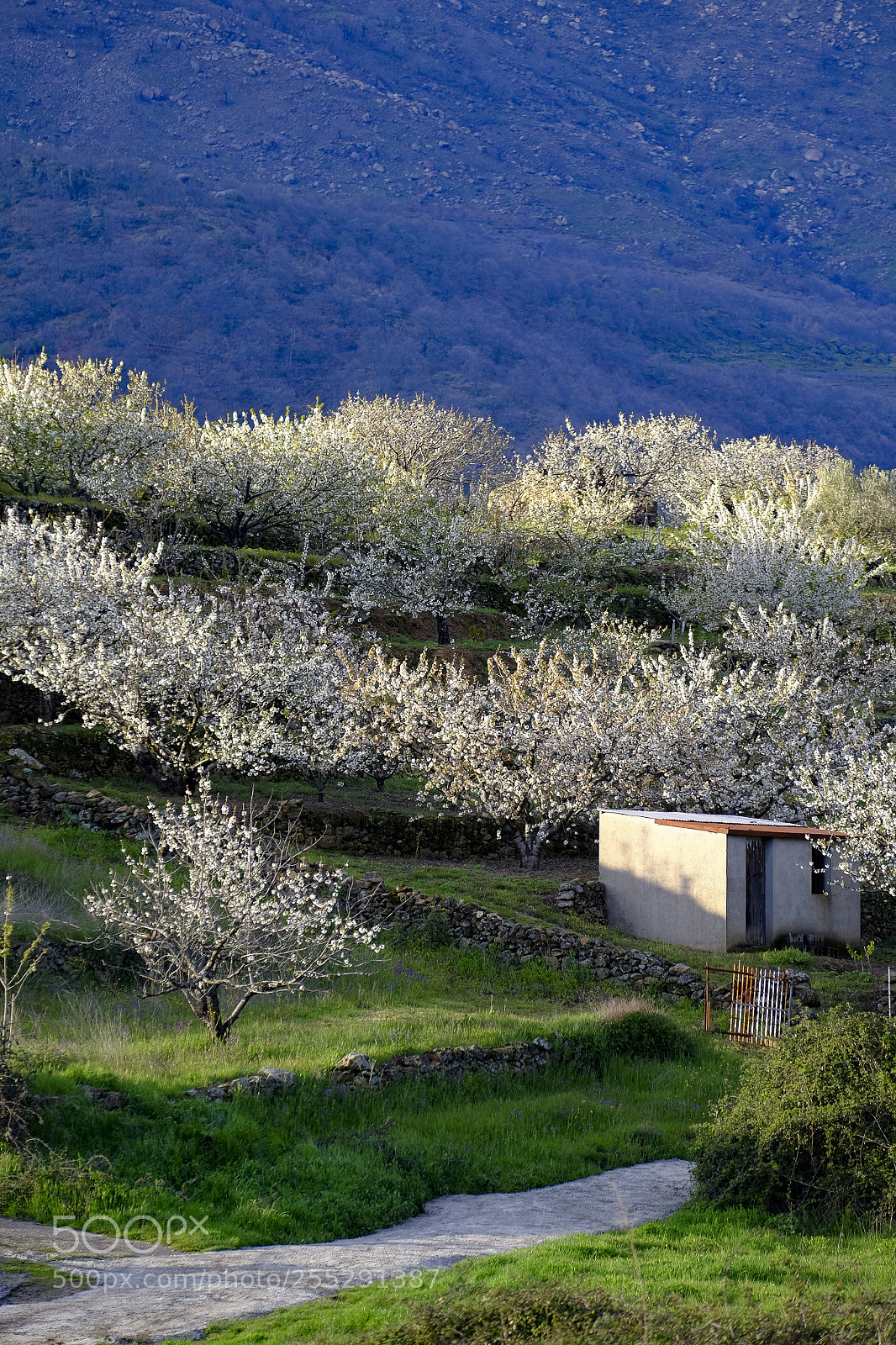 Fujifilm X-T10 sample photo. Rural countryside landscape in photography