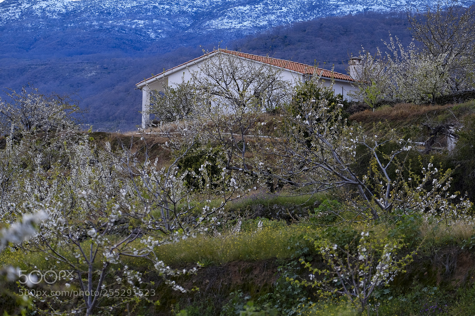 Fujifilm X-T10 sample photo. Rural countryside landscape in photography
