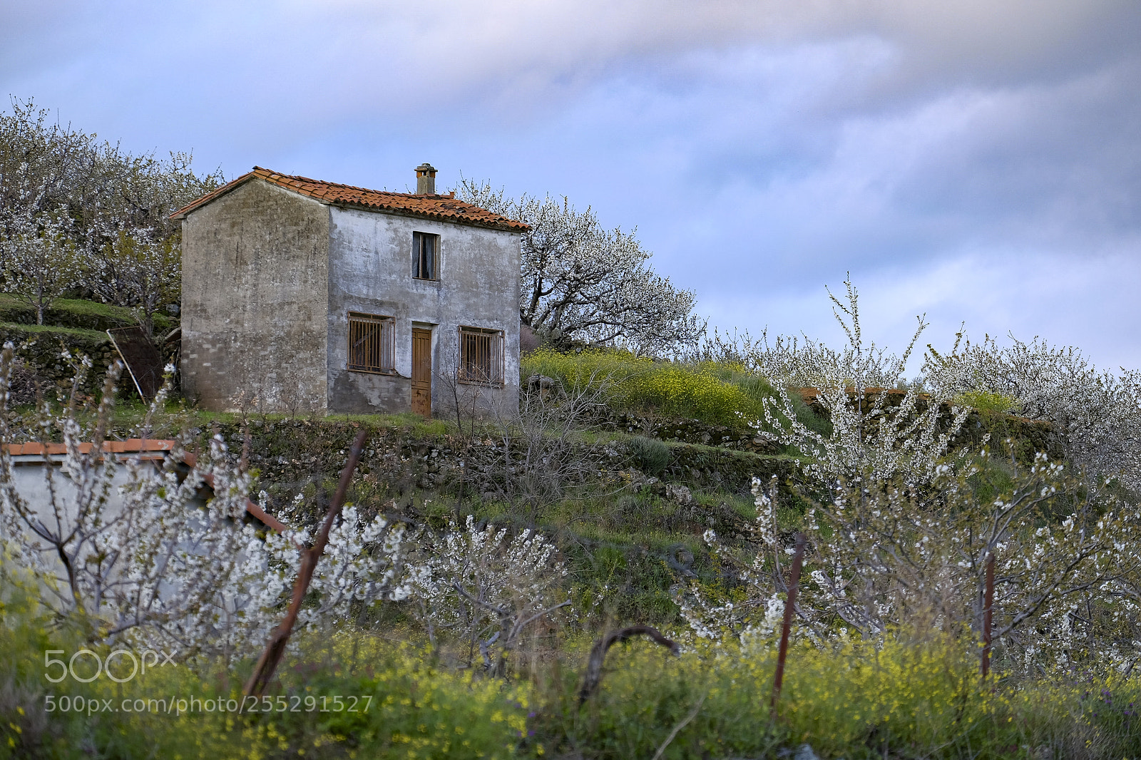 Fujifilm X-T10 sample photo. Rural countryside landscape in photography